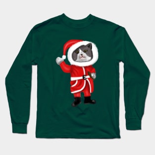 Santa Cat Funny Cat Lovers Christmas Gift Long Sleeve T-Shirt